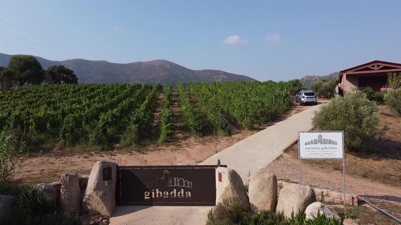 Ingresso della cantina Gibadda tra i vigneti di Arbus