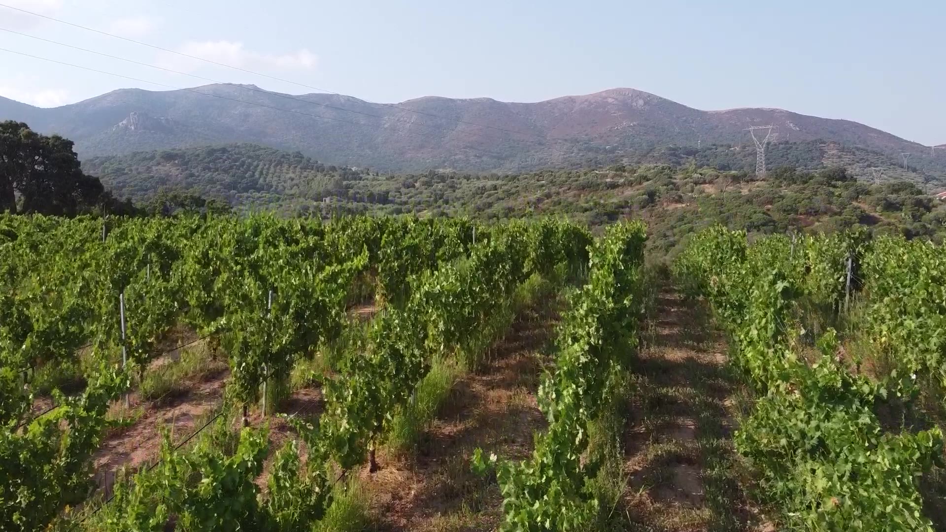 La campagna di Arbus e la Costa Verde, Sardegna
